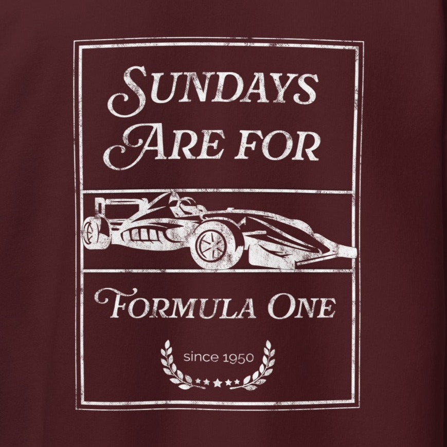 Sundays are for Formula 1 Hoodie